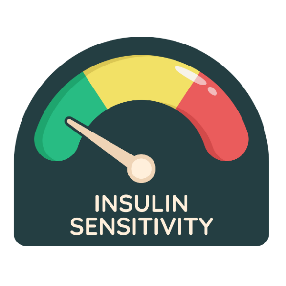 Boosts Insulin Sensitivity